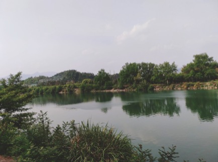 1681872776968659.jpeg WechatIMG461.jpeg