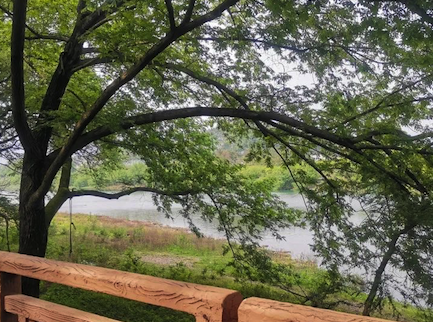 1681873061975589.jpg 6w w w40.jpg